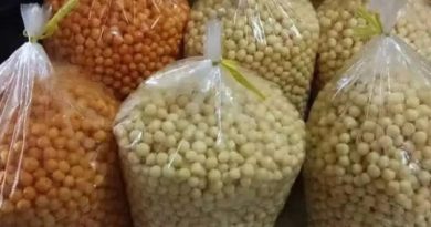 Endog Lewo asal Kabupaten Garut, salah satu karya budaya yang ditetapkan menjadi Warisan Budaya Tak Benda (WBTB) oleh Pemerintah Provinsi Jawa Barat di Tahun 2025. (Foto : Dok. Disparbud Kabupaten Garut-grahabignewscom)