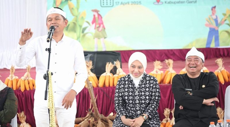 Gubernur Jawa Barat Dedi Mulyadi bersama Bupati Garut Abdusy Syakur Amin, Wakil Bupati Putri Karlina, Sekda Nurdin Yana dan para pejabat lainnya hadir dalam kegiatan Panen Raya Jagung di Kampung Cihanjuang, Desa Pangeureunan, Kecamatan Balubur Limbangan, Kabupaten Garut, Kamis (17/4/2025). Kegiatan ini merupakan bagian dari upaya mendorong swasembada pangan dan meningkatkan kesejahteraan petani di wilayah Garut.(Foto: Anggana Mulia/ Muhamad Azi Zulhakim/ Diskominfo Kab. Garut-grahabignews.com)